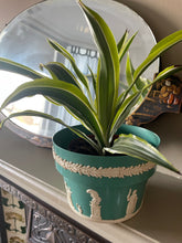 Load image into Gallery viewer, Vintage Dialene Better-Maid ‘Wedgwood’ plant holder
